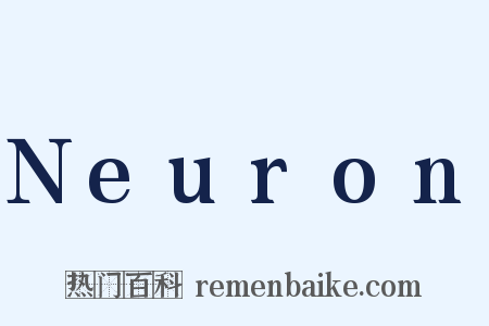 Neuron是什么意思的图片